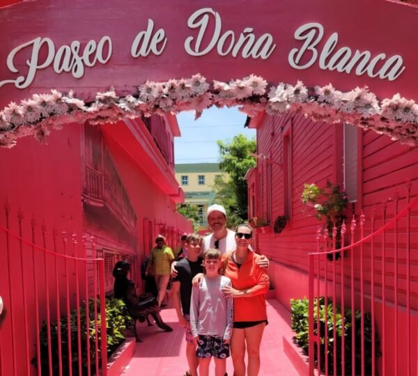 EXCEL vip airport transfer (14)